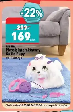Biedronka Piesek interaktywny Go Go Pupy maltańczyk Fur Real oferta
