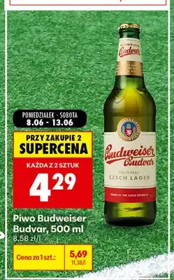 Biedronka Piwo Budweiser Budvar oferta