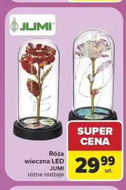 Carrefour Róża wieczna LED Jumi oferta