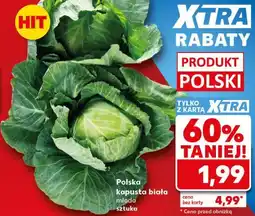 Kaufland Polska kapusta biała młoda oferta