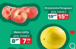 Biedronka Brzoskwinia Paraguayo oferta