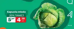 Biedronka Kapusta młoda oferta