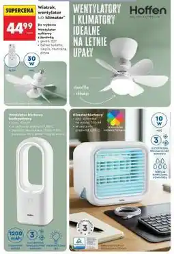 Biedronka Wiatrak, wentylator lub klimator oferta
