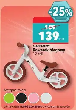 Biedronka Rowerek biegowy oferta