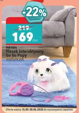 Biedronka Piesek interaktywny Go Go Pupy oferta