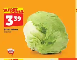 Topaz Sałata lodowa oferta