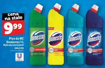 Topaz Płyn do WC Domestos Pine Fresh oferta