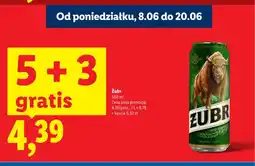 Lidl Piwo Żubr oferta
