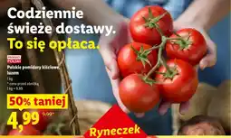 Lidl Pomidory kiściowe Ryneczek Lidla polskie oferta
