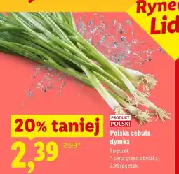 Lidl Cebula dymka polska oferta