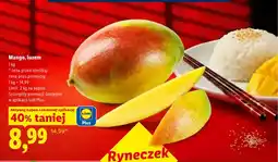 Lidl Mango luzem oferta