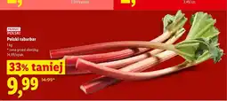 Lidl Rabarbar polski oferta
