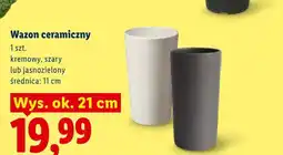 Lidl Wazon ceramiczny wys. ok. 21 cm oferta