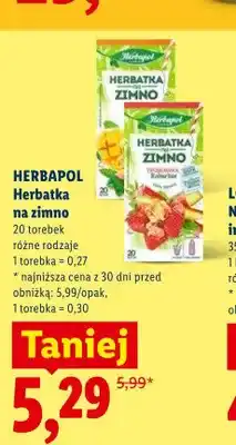 Lidl Herbatka na zimno Herbapol oferta