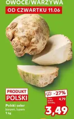 Kaufland Polski seler oferta