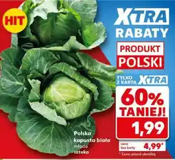 Kaufland Polska kapusta biała młoda sztuka oferta
