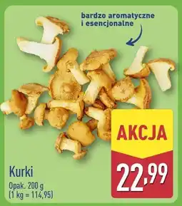 ALDI Kurki oferta
