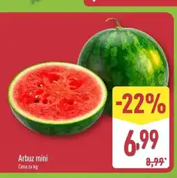 ALDI Arbuz mini oferta