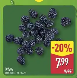 ALDI Jeżyny oferta
