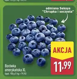 ALDI Borówka amerykańska XL oferta