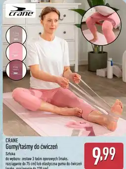 ALDI CRANE Gumy/taśmy do ćwiczeń oferta
