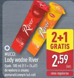 ALDI MUCCI Lody wodne River oferta