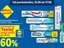 Lidl Wszystkie produkty Aquafresh, Sensodyne i Corega oferta