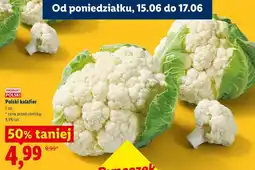 Lidl Polski kalafior oferta