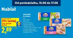 Lidl HOCHLAND Ser topiony oferta