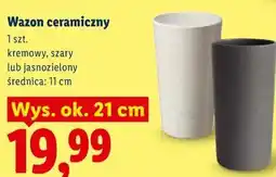 Lidl Wazon ceramiczny oferta