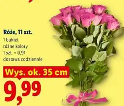 Lidl Róże, 11 szt oferta