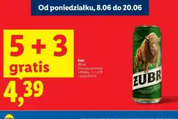 Lidl Żubr oferta