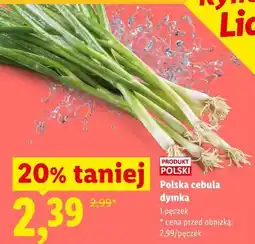 Lidl Polska cebula dymka oferta
