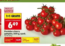Biedronka Pomidor cherry gałązka oferta