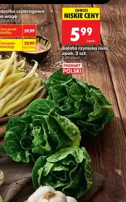 Biedronka Sałata rzymska mini polska oferta