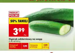 Biedronka Ogórek szklarniowy na wagę polski oferta