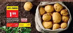 Biedronka Ziemniaki wczesne polskie oferta
