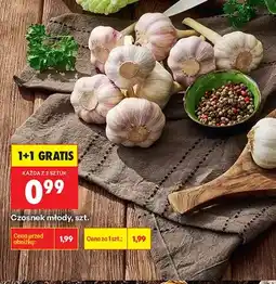 Biedronka Czosnek młody oferta