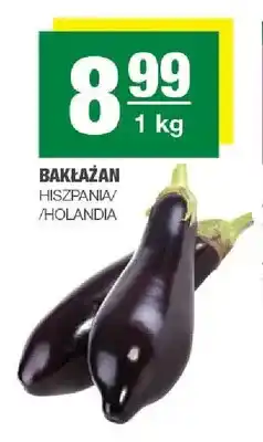 Spar Bakłażan Hiszpania/Holandia oferta