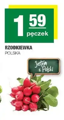 Spar Rzodkiewka polska oferta