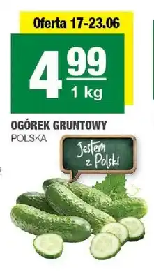 Spar Ogórek gruntowy polska oferta