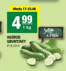 Spar Ogórek gruntowy oferta