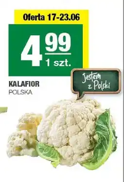 Spar Kalafior polski oferta