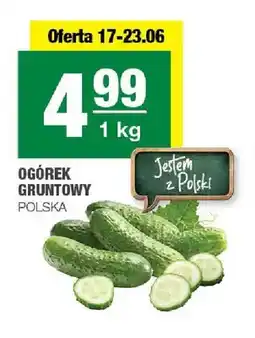 Spar Ogórek gruntowy polski oferta