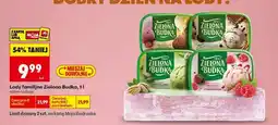Biedronka Lody familijne Zielona Budka, 1 l oferta