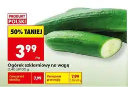 Biedronka Ogórek szklarniowy na wage oferta