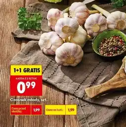 Biedronka Czosnek młody szt oferta