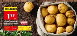 Biedronka Polskie ziemniaki wczesne na wagę oferta