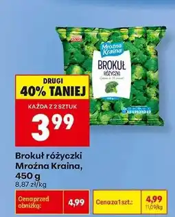 Biedronka Brokuł różyczki Mroźna Kraina, 450 g oferta
