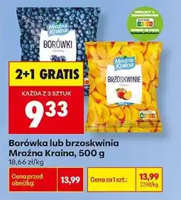 Biedronka Borówka lub brzoskwinia Mroźna Kraina, 500 g oferta